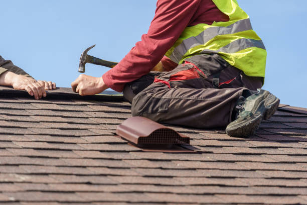 Best Storm Damage Roof Repair  in Lan, MI