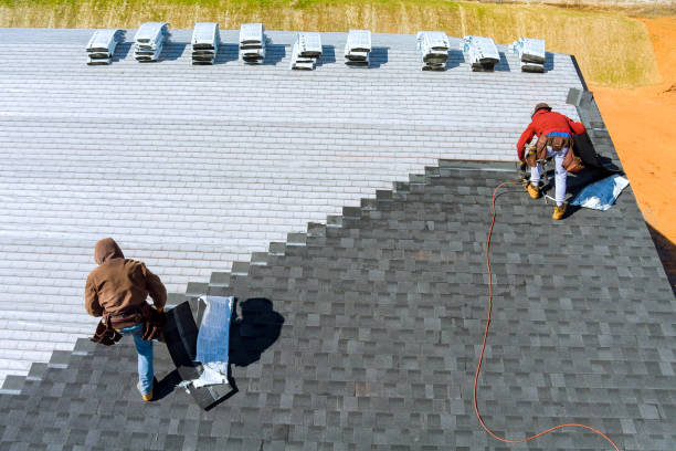 Best Metal Roofing Contractor  in Lan, MI