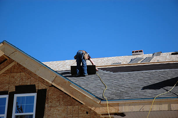 Best Local Roofing Companies  in Lan, MI