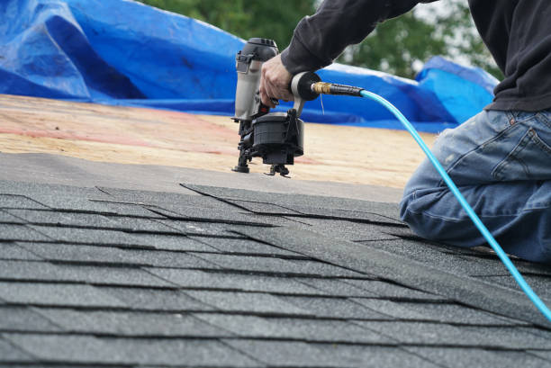 Best Roof Gutter Cleaning  in Lan, MI