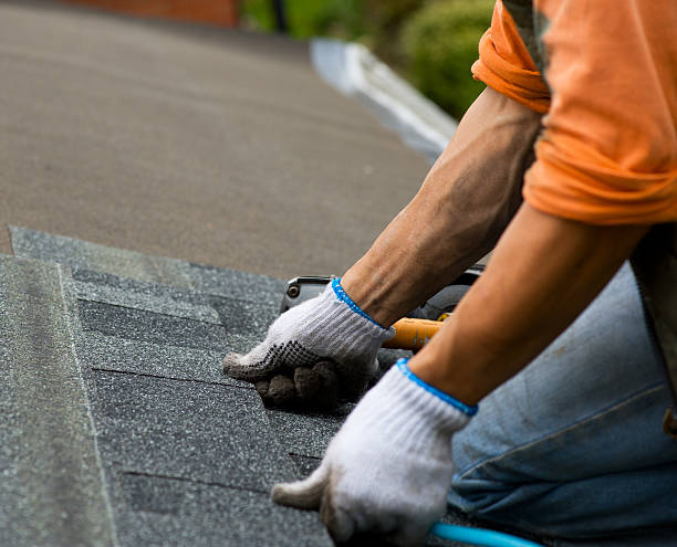 Best Emergency Roof Repair  in Lan, MI