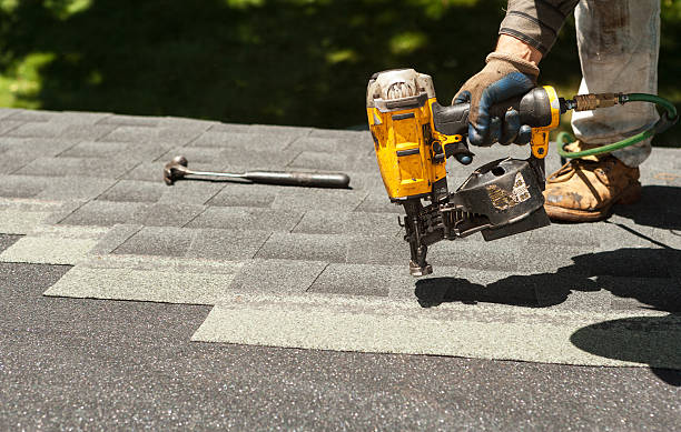 Best Storm Damage Roof Repair  in Lan, MI