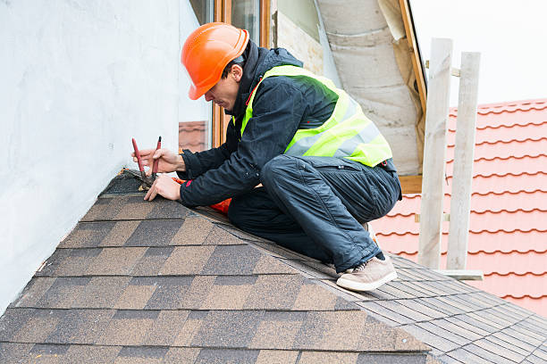 Best Storm Damage Roof Repair  in Lan, MI