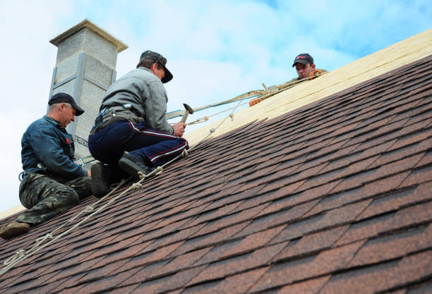 Sealant for Roof in Milan, MI