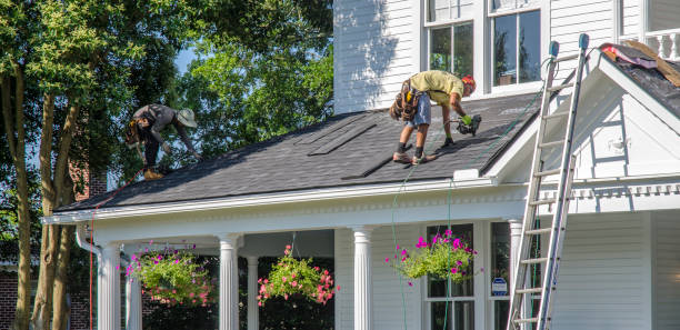 Professional Roofing Contractor in Milan, MI