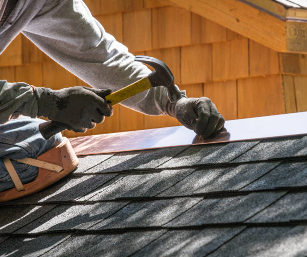 Best Commercial Roofing Services  in Lan, MI